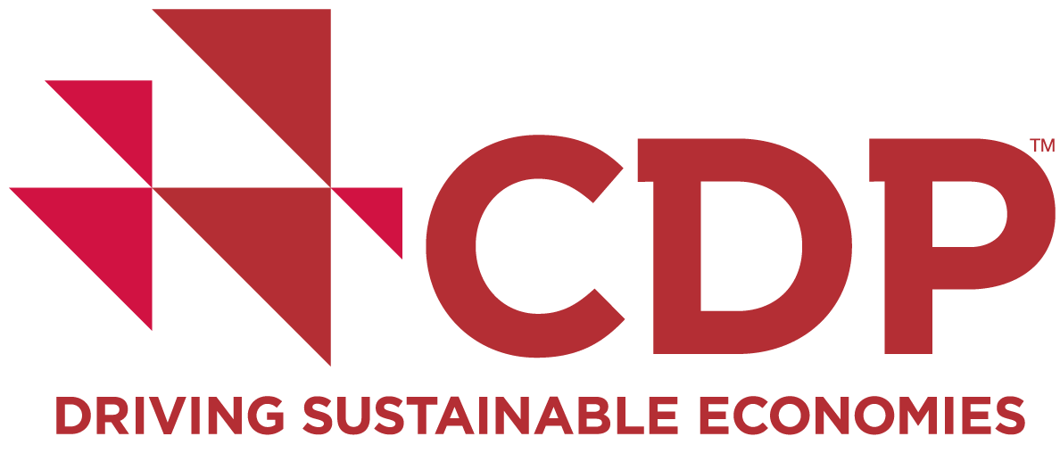 CDP Commercial Reporting Tool CDP Commercial Reporting Tool