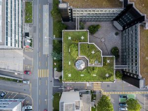 business sustainability goals