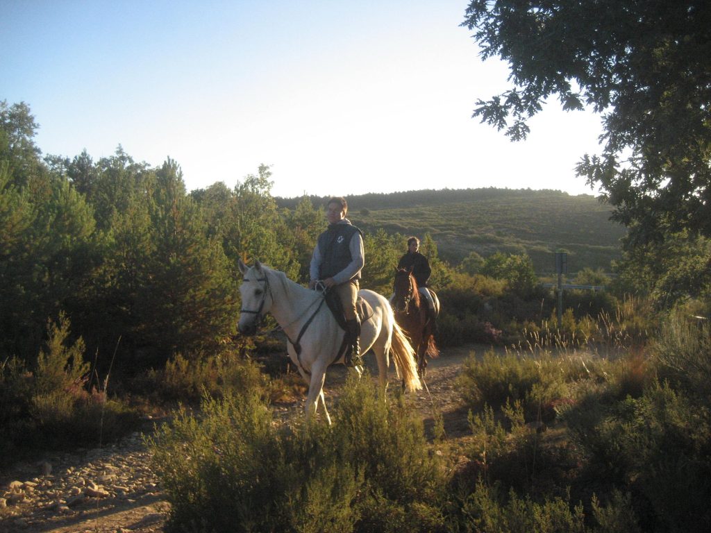 Ayosha-horseback-riding