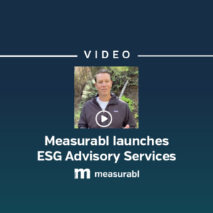 ESG Advisory Services