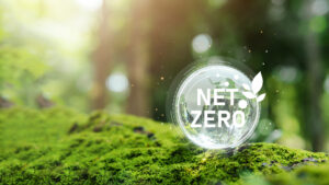 crrem-netzero