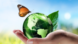 green building certification